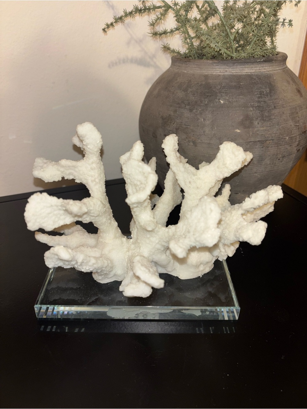 White Coral Sculpture Accent Decor